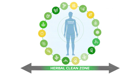 How Long Does Herbal Clean Detox Last?
