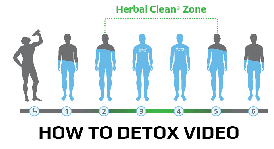 Load video: The steps for a successful same day detox video.