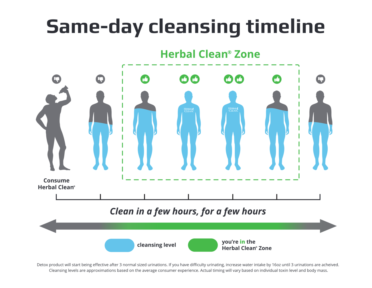 How To Detox – Herbal Clean
